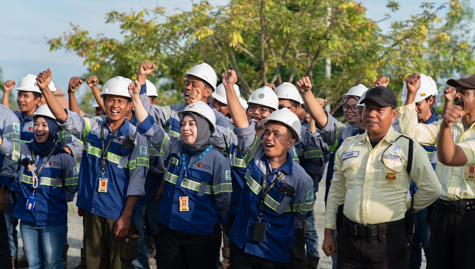Pipit Group Team